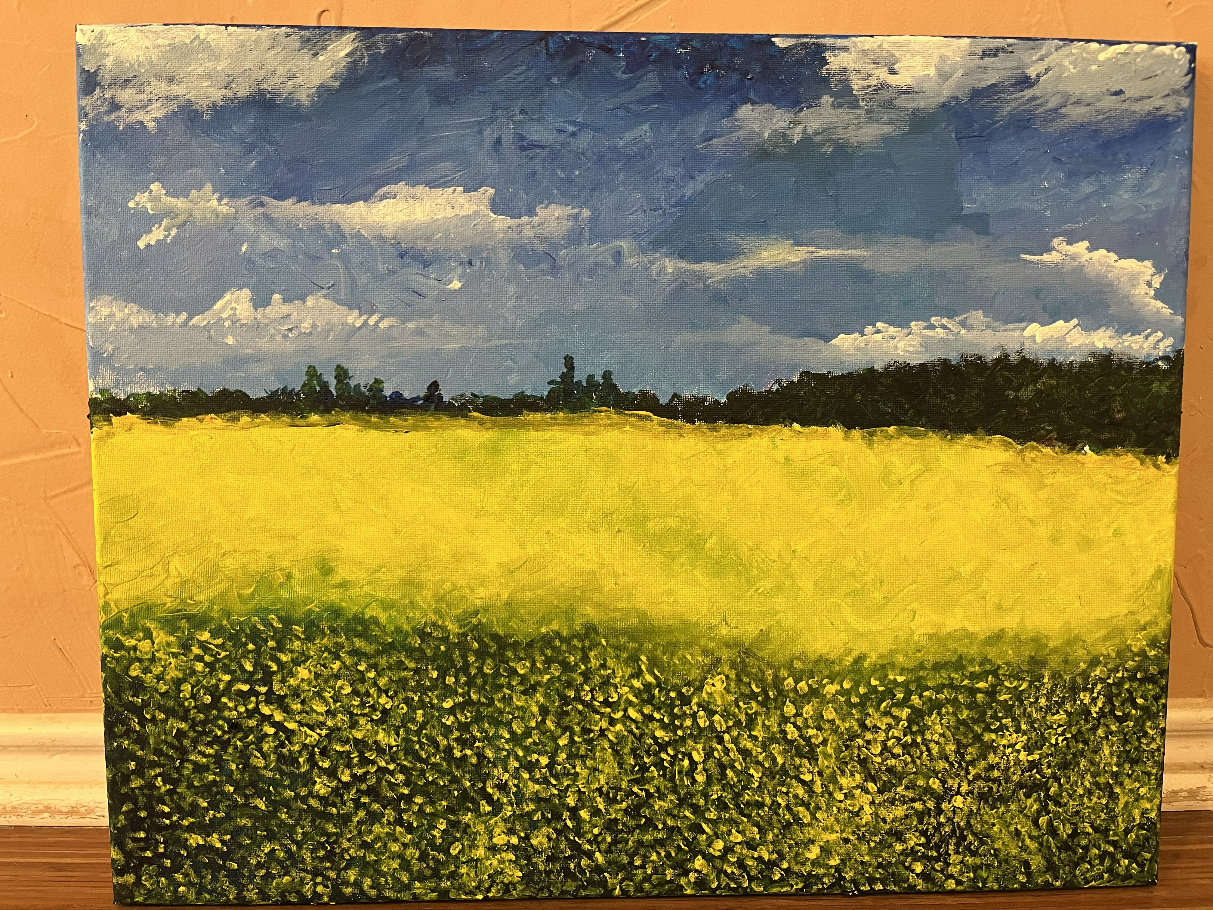 A meadow of yellow flowers in the springtime